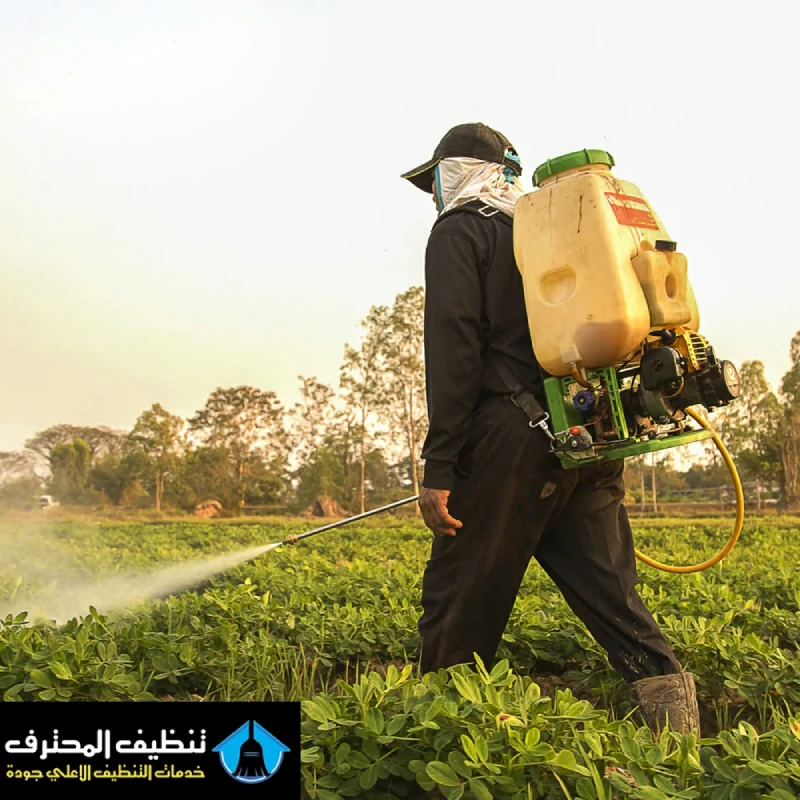 Pesticide spraying company in Riyadh